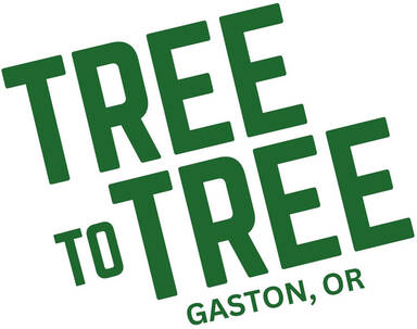 Tree to Tree Adventure Park