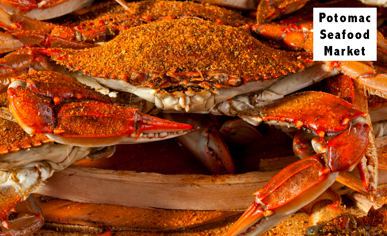 Potomac Seafood Market
